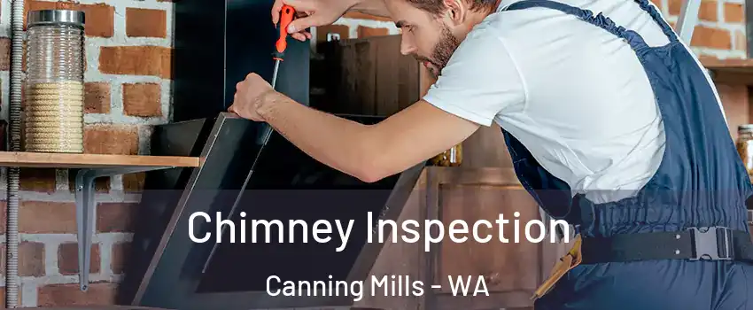 Chimney Inspection Canning Mills - WA
