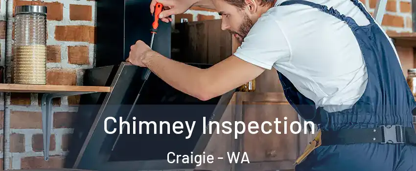 Chimney Inspection Craigie - WA