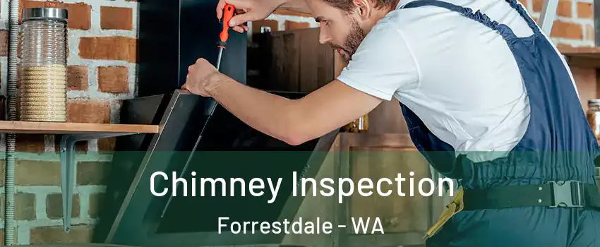 Chimney Inspection Forrestdale - WA