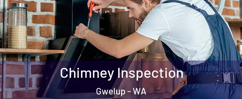 Chimney Inspection Gwelup - WA