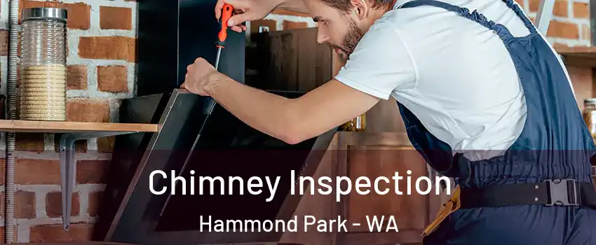 Chimney Inspection Hammond Park - WA