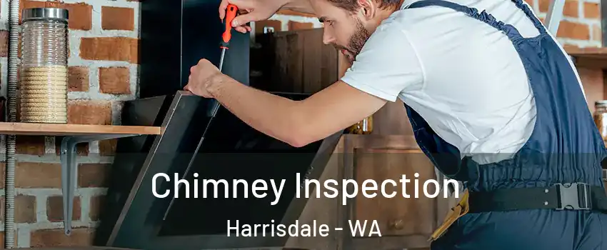 Chimney Inspection Harrisdale - WA