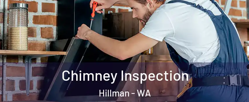 Chimney Inspection Hillman - WA
