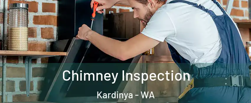 Chimney Inspection Kardinya - WA