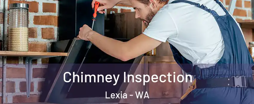 Chimney Inspection Lexia - WA