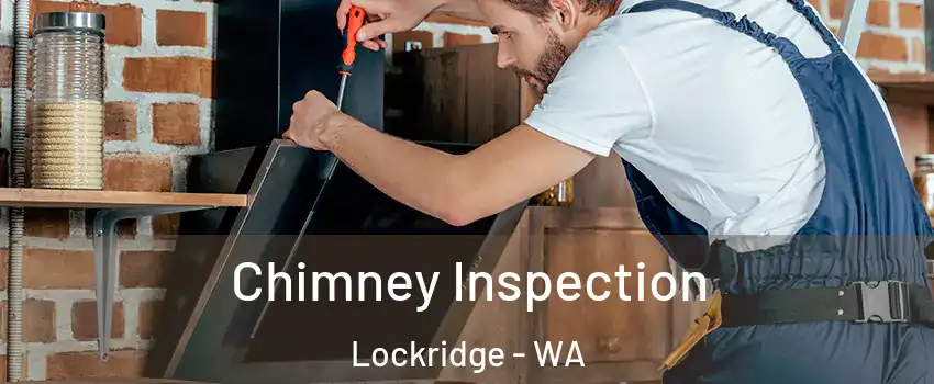 Chimney Inspection Lockridge - WA