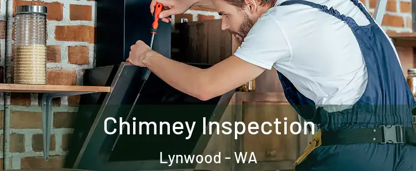 Chimney Inspection Lynwood - WA