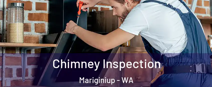 Chimney Inspection Mariginiup - WA