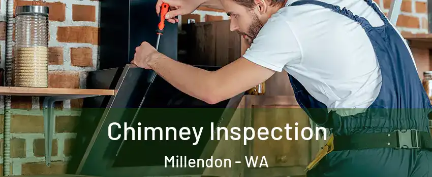 Chimney Inspection Millendon - WA