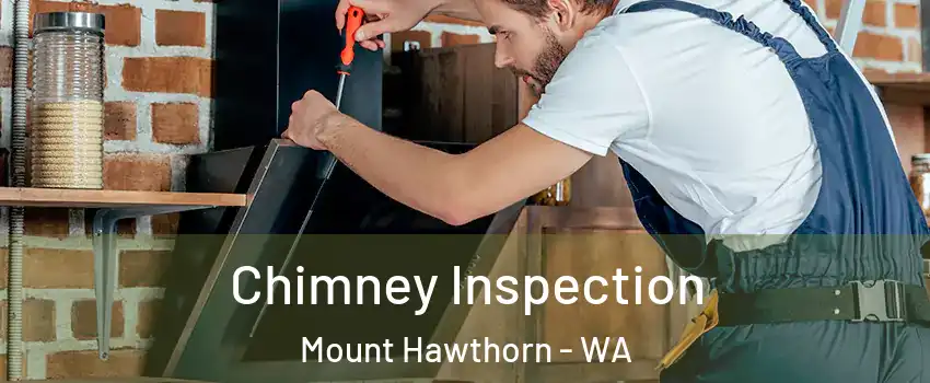 Chimney Inspection Mount Hawthorn - WA