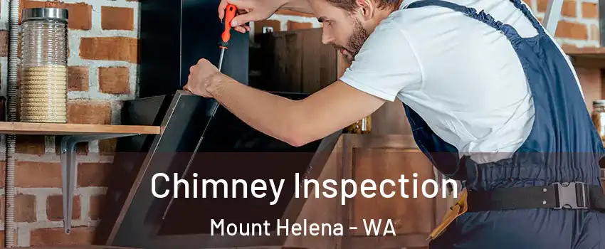 Chimney Inspection Mount Helena - WA