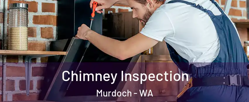 Chimney Inspection Murdoch - WA