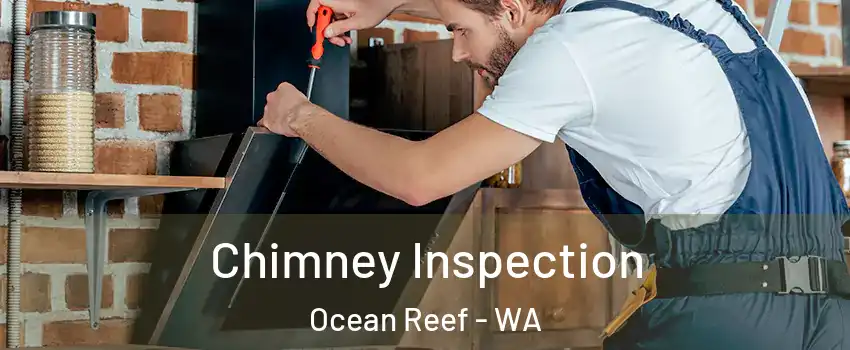 Chimney Inspection Ocean Reef - WA