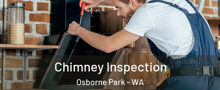 Chimney Inspection Osborne Park - WA