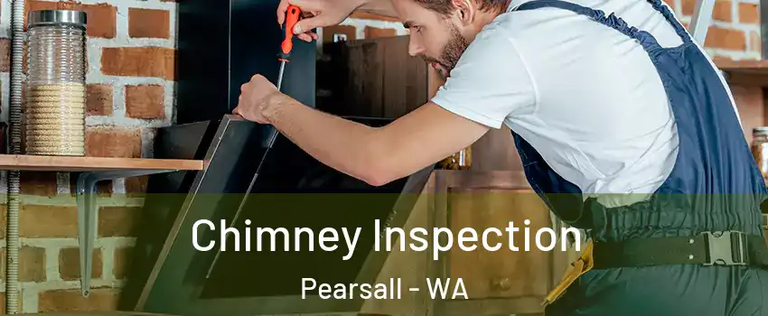 Chimney Inspection Pearsall - WA