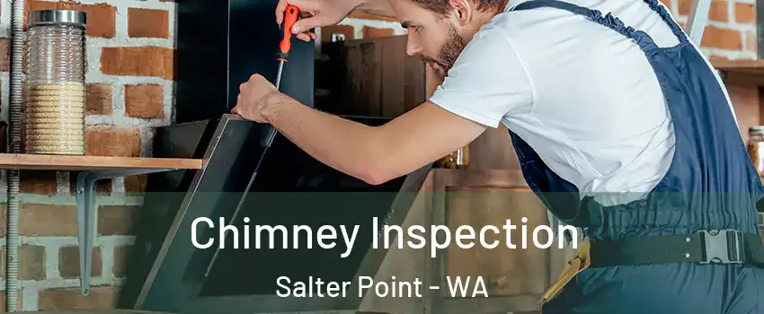 Chimney Inspection Salter Point - WA