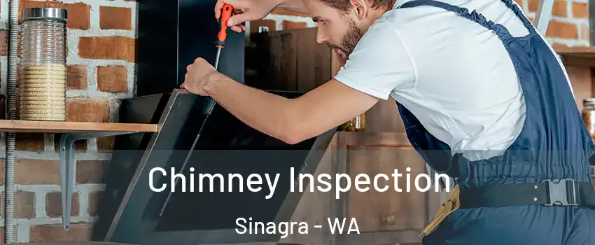 Chimney Inspection Sinagra - WA