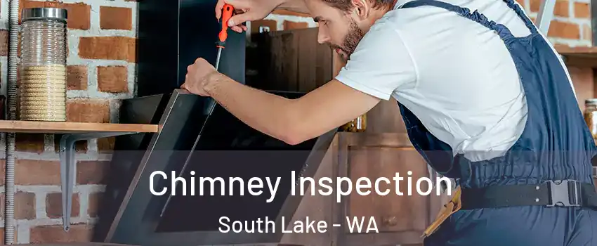 Chimney Inspection South Lake - WA