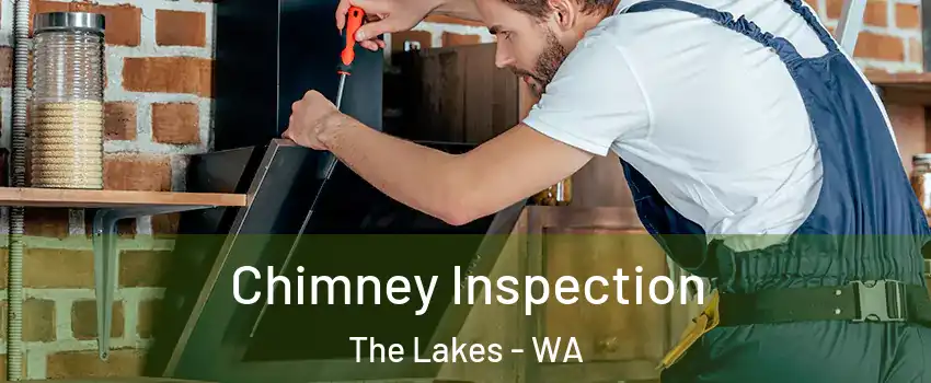 Chimney Inspection The Lakes - WA