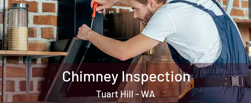 Chimney Inspection Tuart Hill - WA