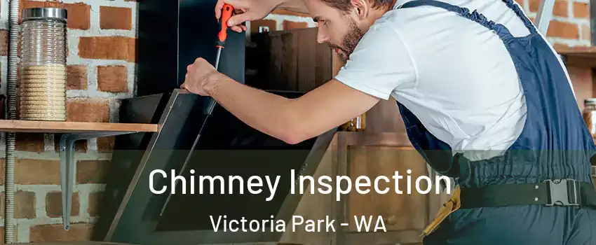 Chimney Inspection Victoria Park - WA