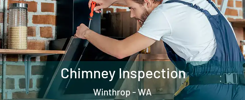 Chimney Inspection Winthrop - WA