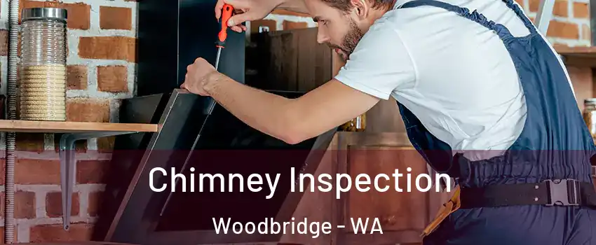 Chimney Inspection Woodbridge - WA