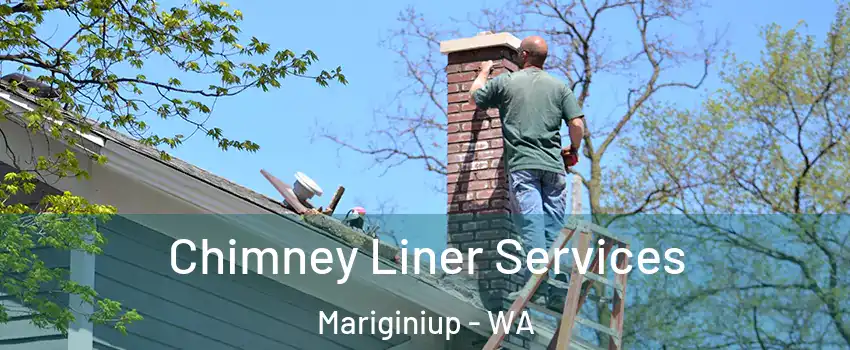 Chimney Liner Services Mariginiup - WA