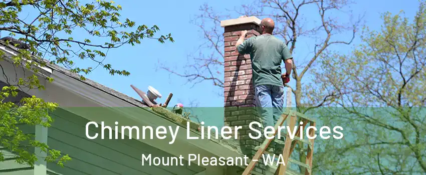 Chimney Liner Services Mount Pleasant - WA