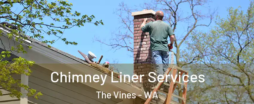 Chimney Liner Services The Vines - WA