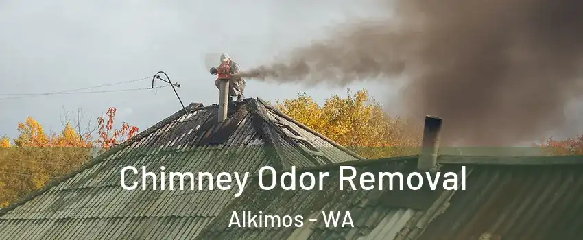 Chimney Odor Removal Alkimos - WA
