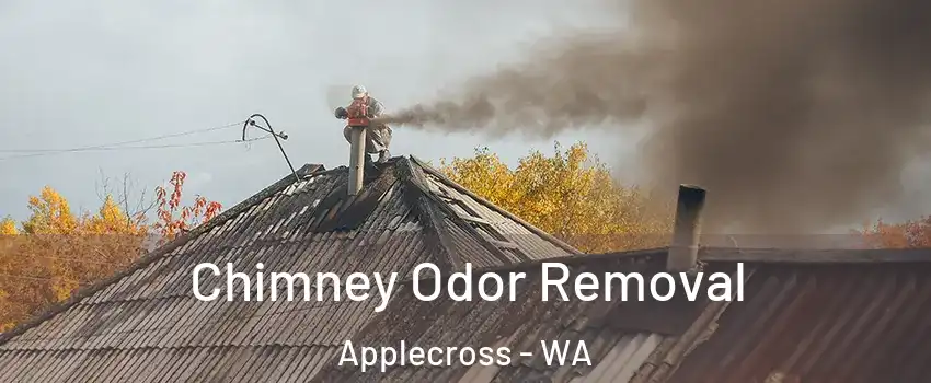 Chimney Odor Removal Applecross - WA