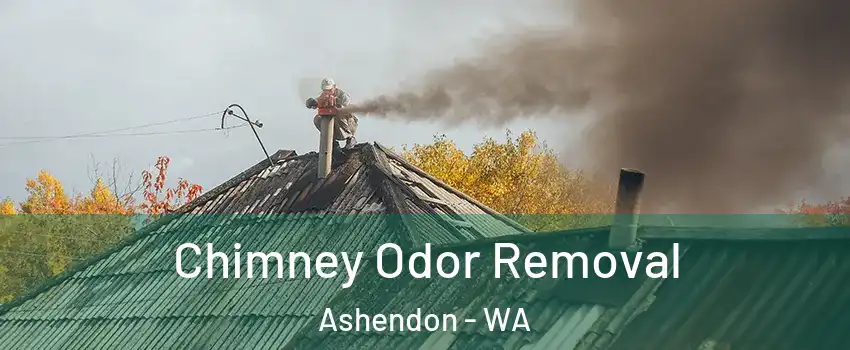 Chimney Odor Removal Ashendon - WA