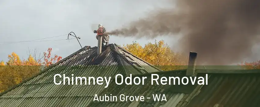 Chimney Odor Removal Aubin Grove - WA