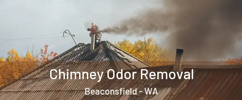  Chimney Odor Removal Beaconsfield - WA