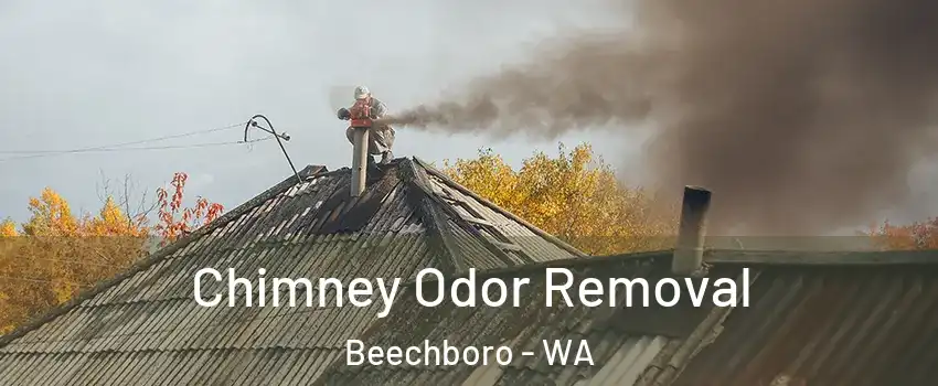 Chimney Odor Removal Beechboro - WA