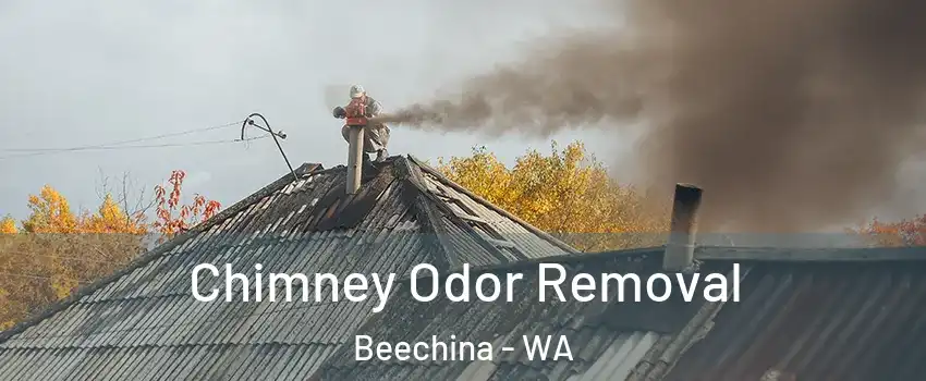 Chimney Odor Removal Beechina - WA