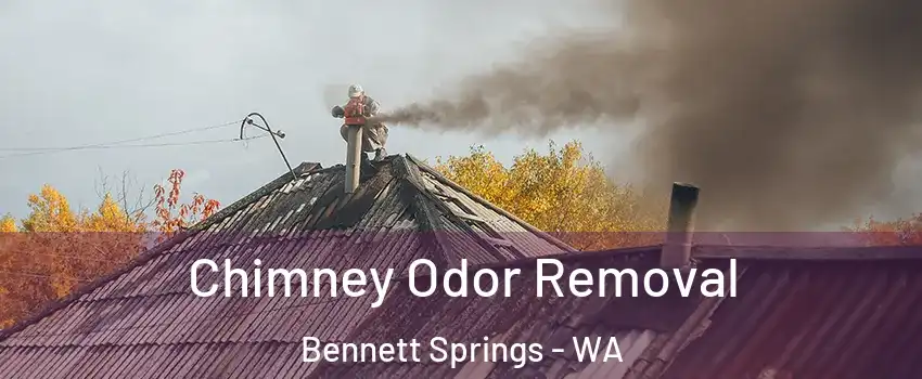 Chimney Odor Removal Bennett Springs - WA