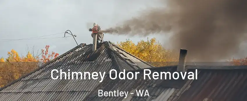Chimney Odor Removal Bentley - WA