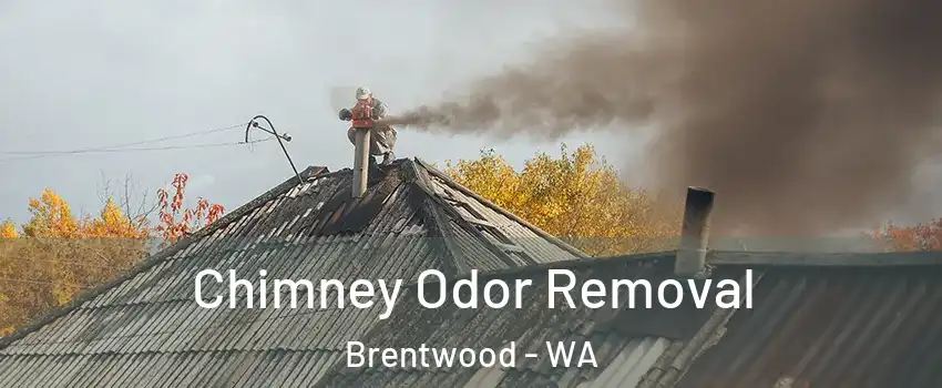 Chimney Odor Removal Brentwood - WA