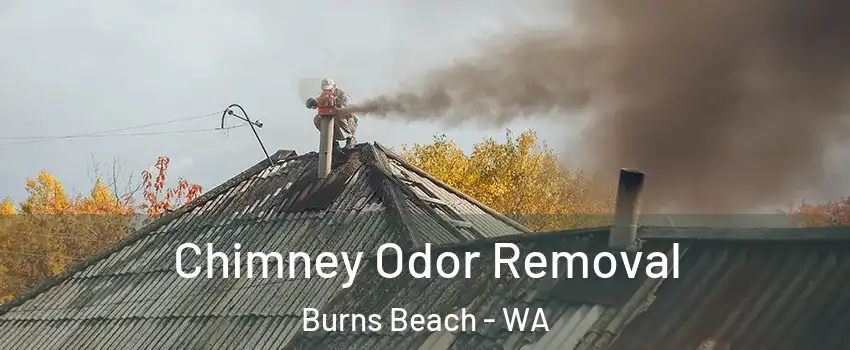 Chimney Odor Removal Burns Beach - WA