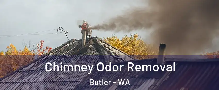 Chimney Odor Removal Butler - WA