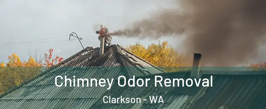 Chimney Odor Removal Clarkson - WA