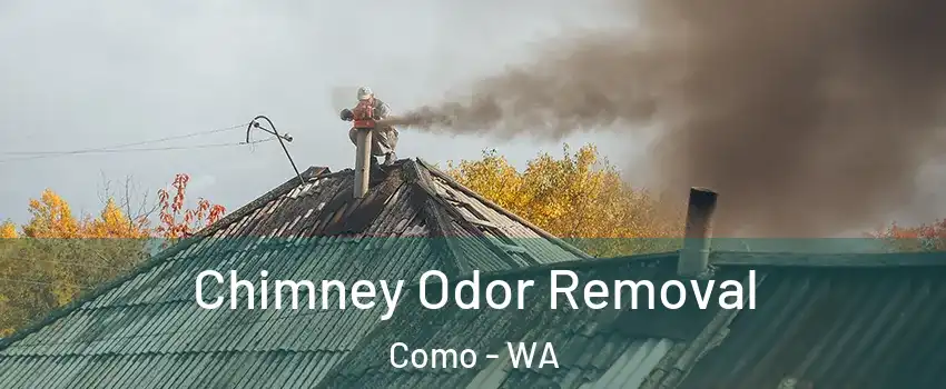 Chimney Odor Removal Como - WA