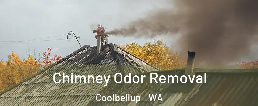 Chimney Odor Removal Coolbellup - WA