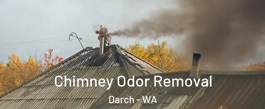 Chimney Odor Removal Darch - WA