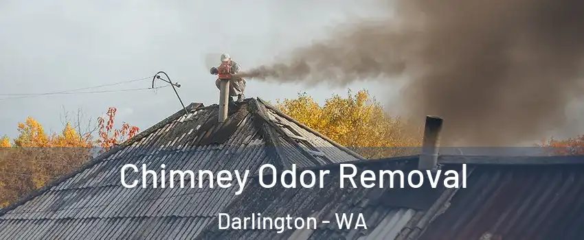 Chimney Odor Removal Darlington - WA