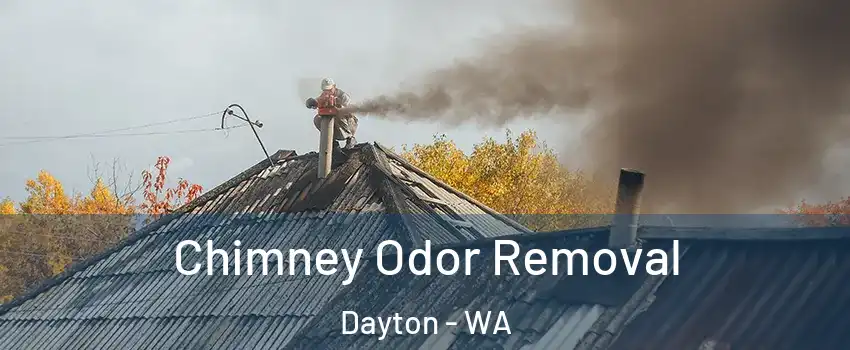 Chimney Odor Removal Dayton - WA