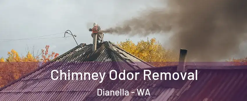 Chimney Odor Removal Dianella - WA