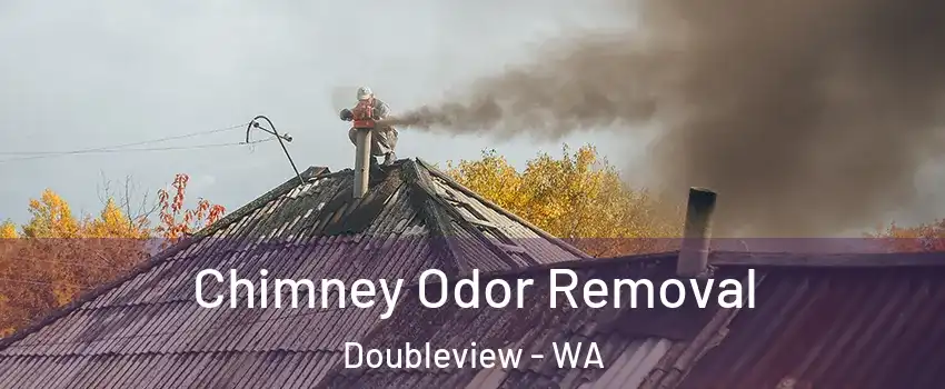 Chimney Odor Removal Doubleview - WA